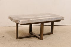 Petrified Wood Top Coffee Table with Modern-Style Metal Base