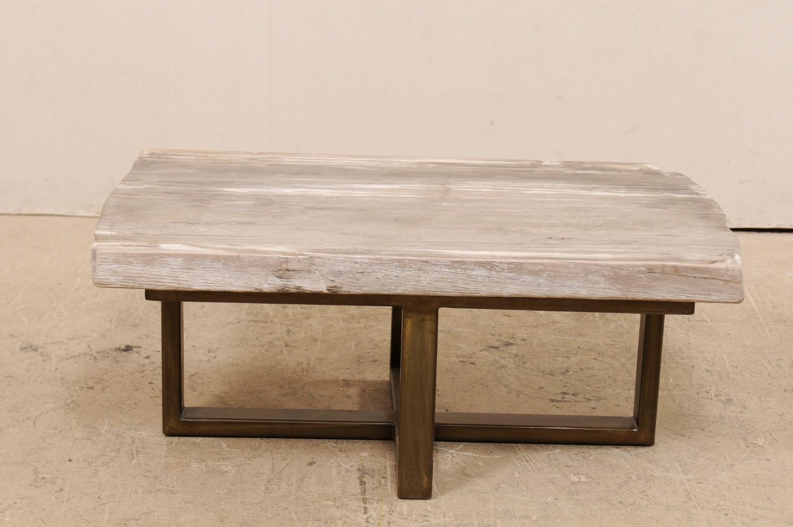 Polished Petrified Wood Top Coffee Table with Modern-Style Metal Base For Sale