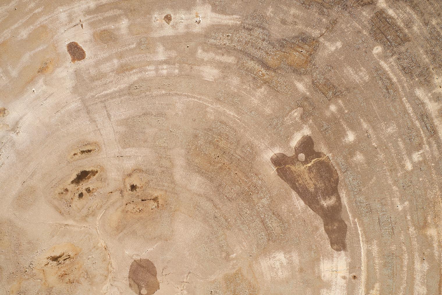 Petrified Wood Top on Free-Hand Ebonized Steel Base End Table For Sale 5