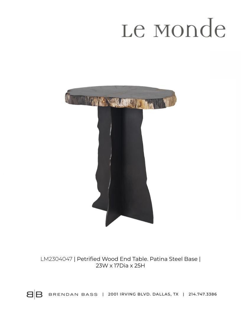 Petrified Wood Top on Free-Hand Ebonized Steel Base End Table For Sale 6