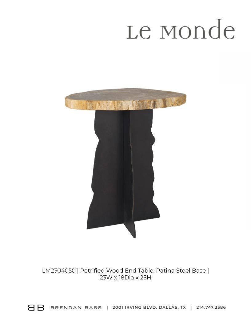 Petrified Wood Top on Free-Hand Ebonized Steel Base End Table For Sale 8