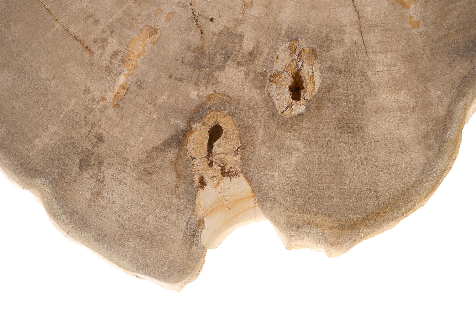 Petrified Wood Top on Free-Hand Ebonized Steel Base End Table In Good Condition For Sale In Dallas, TX