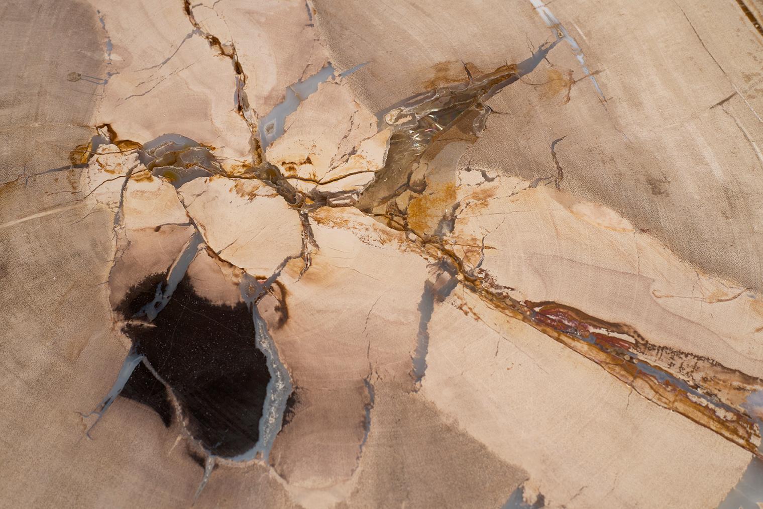 20th Century Petrified Wood Top on Free-Hand Ebonized Steel Base End Table For Sale