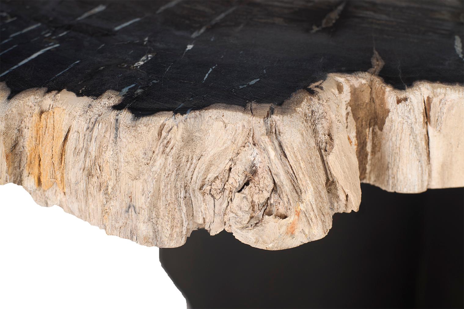 20th Century Petrified Wood Top on Free-Hand Ebonized Steel Base End Table For Sale