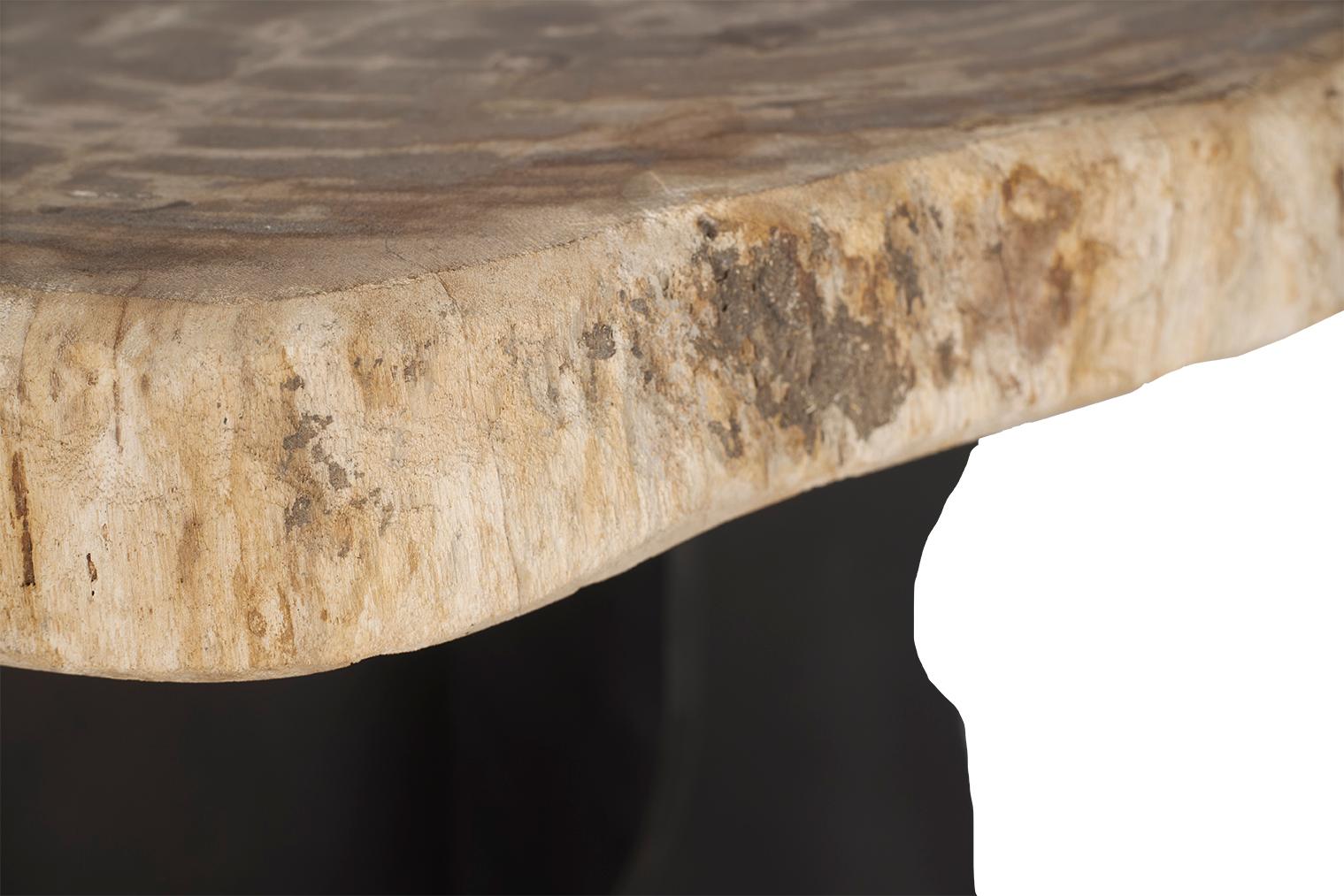 20th Century Petrified Wood Top on Free-Hand Ebonized Steel Base End Table For Sale