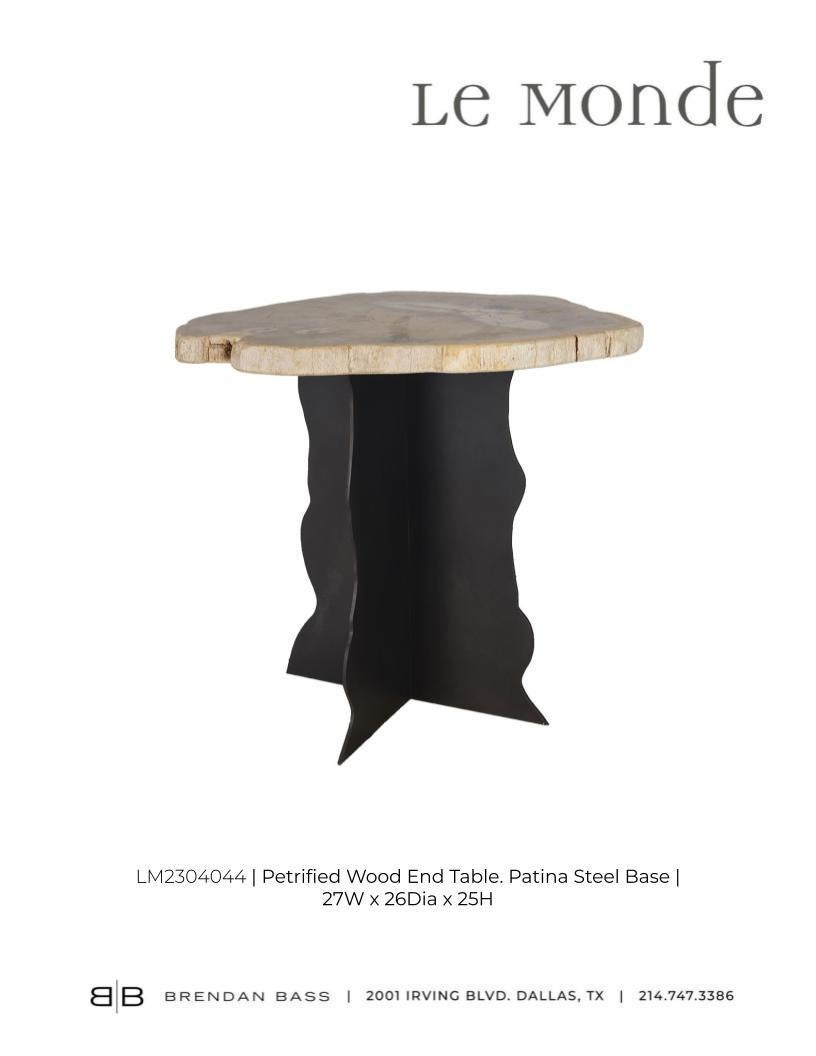 Petrified Wood Top on Free-Hand Ebonized Steel Base End Table For Sale 3
