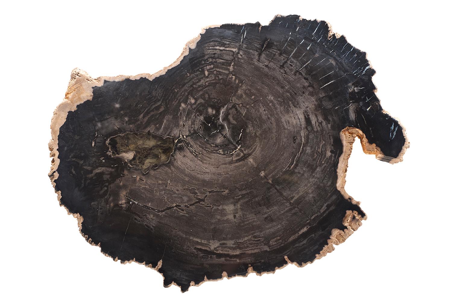 Petrified Wood Top on Free-Hand Ebonized Steel Base End Table For Sale 2