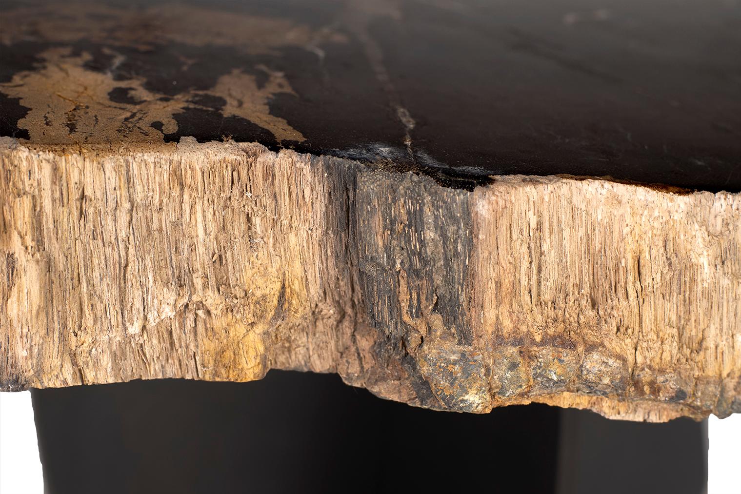 Petrified Wood Top on Free-Hand Ebonized Steel Base End Table For Sale 2