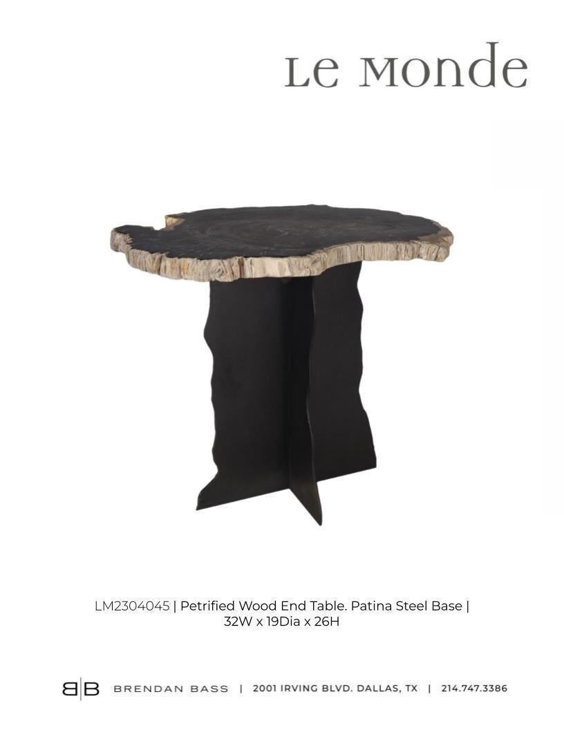 Petrified Wood Top on Free-Hand Ebonized Steel Base End Table For Sale 3