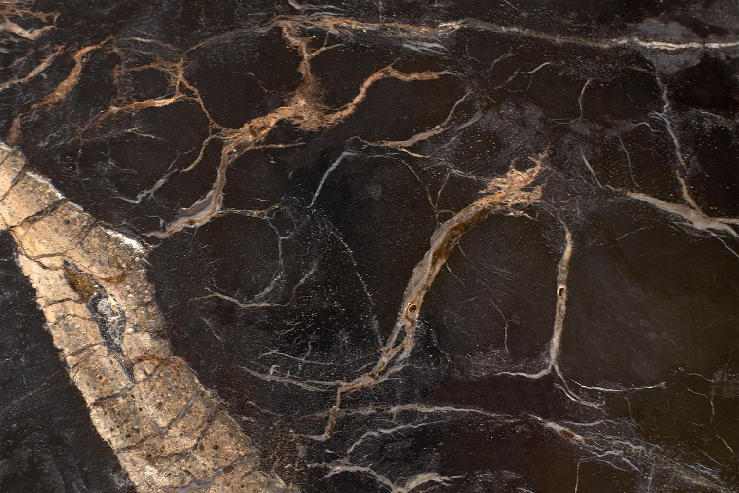 Petrified Wood Top on Free-Hand Ebonized Steel Base End Table For Sale 4