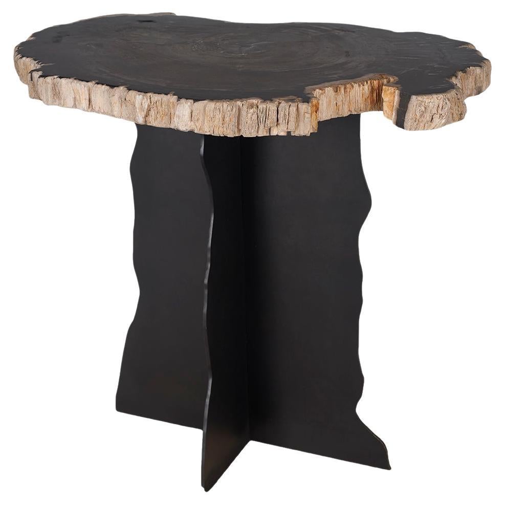 Petrified Wood Top on Free-Hand Ebonized Steel Base End Table