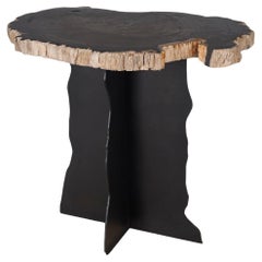 Beistelltisch mit versteinerter Holzplatte auf freihändig ebonisiertem Stahlfuß