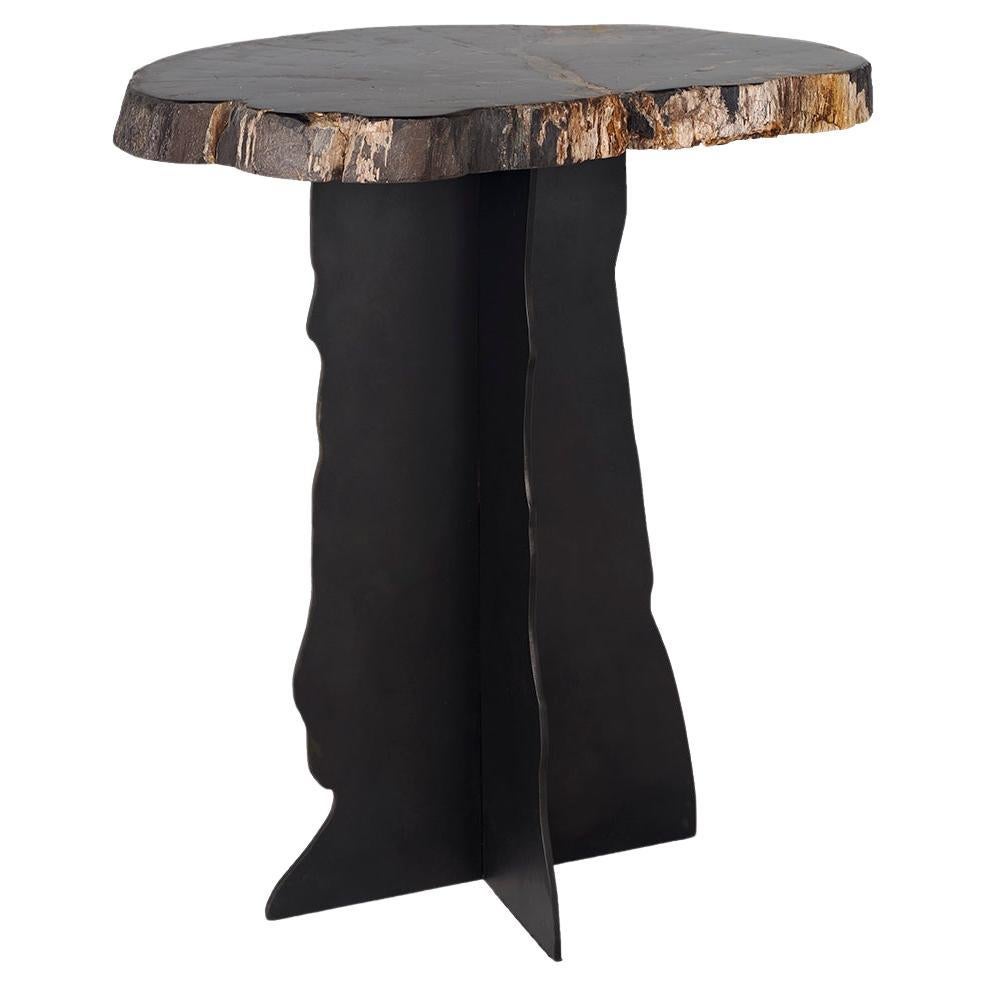 Petrified Wood Top on Free-Hand Ebonized Steel Base End Table