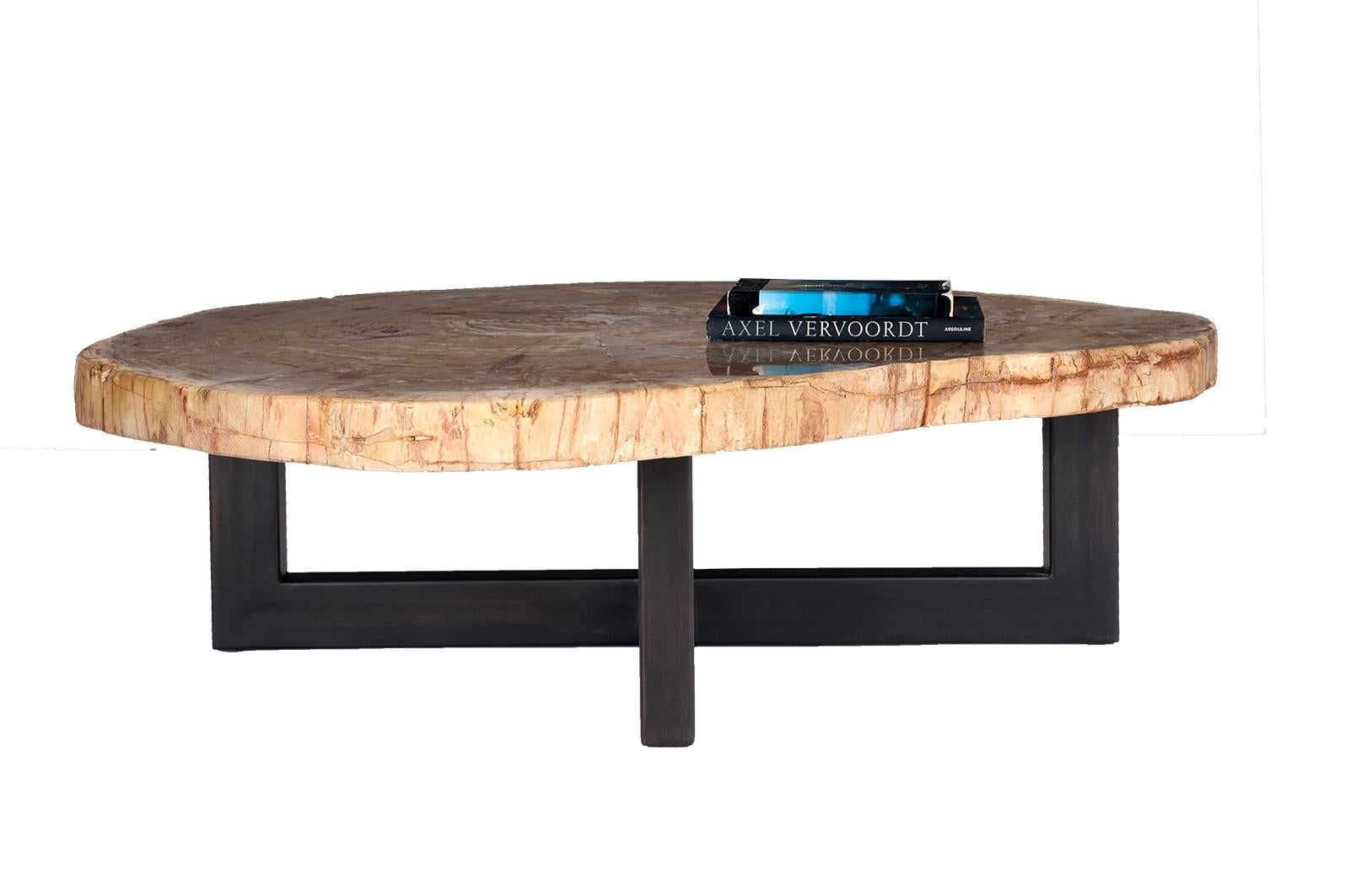 Table basse en bois pétrifié sur base en acier en vente 2
