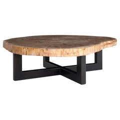 Tavolino da caffè in legno pietrificato con base in Steele