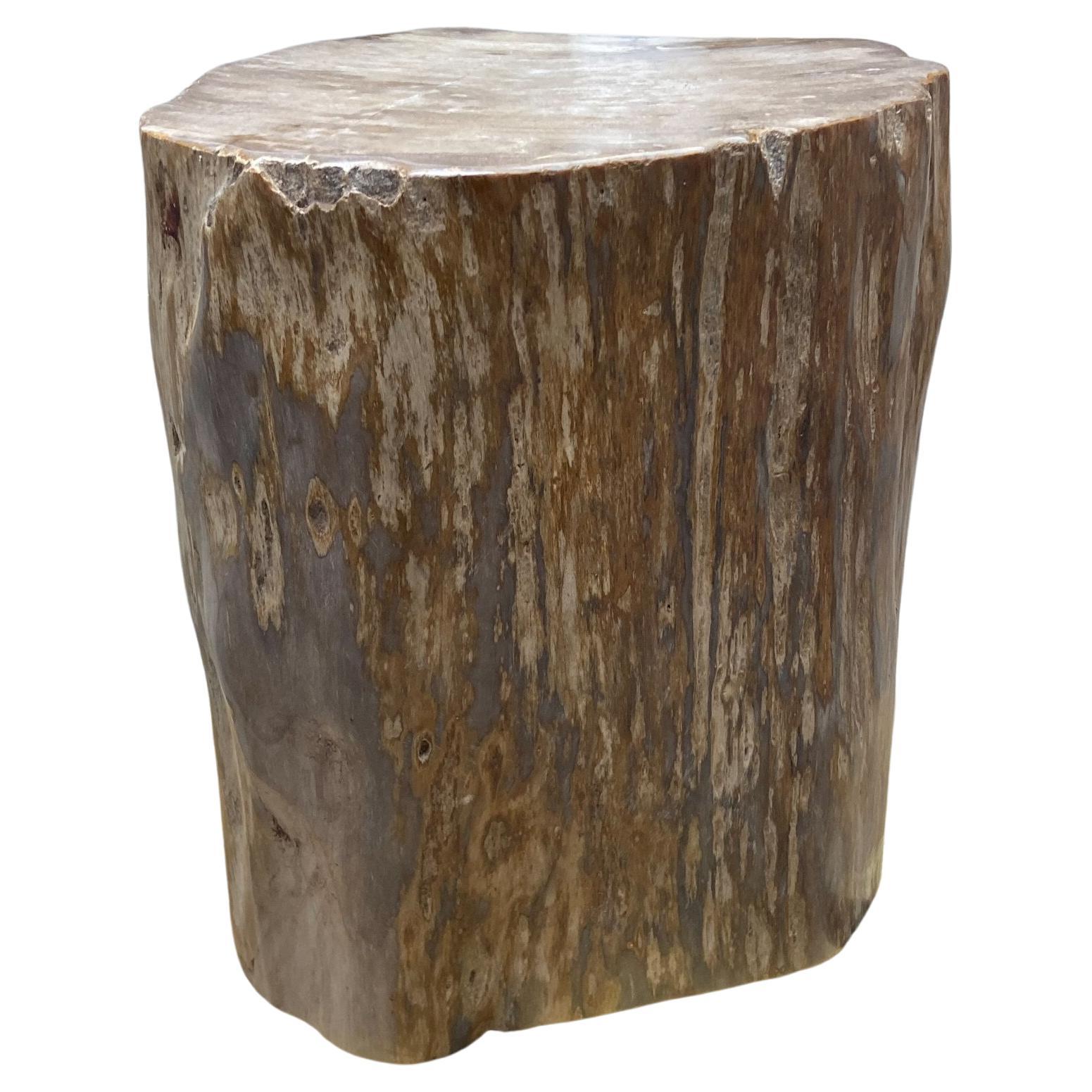 Petrified Wood Stool at 1stDibs
