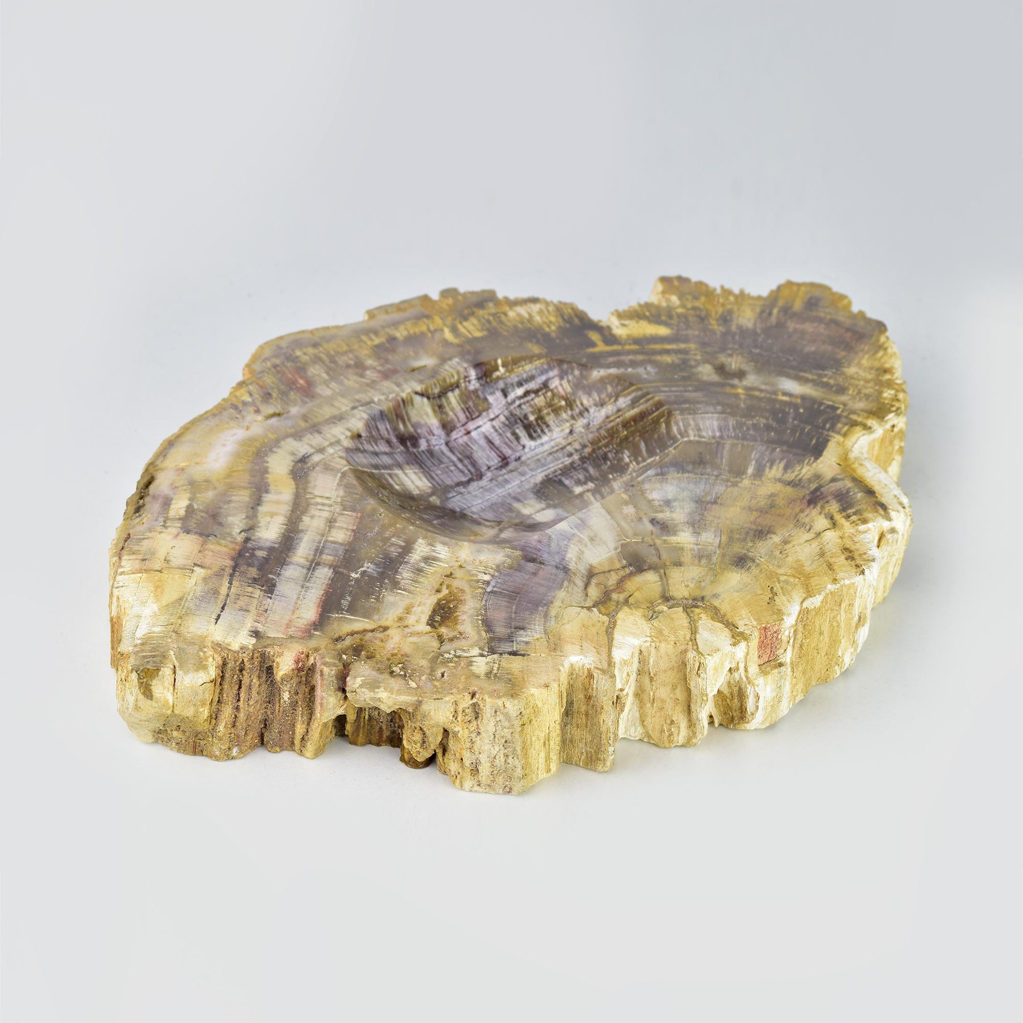 Ce bibelot exquis, fabriqué à partir de bois fossilisé, apporte une touche d'histoire naturelle et d'élégance à tout espace. Chaque rainure et variation de couleur du bois pétrifié révèle la transformation complexe de la matière organique en pierre