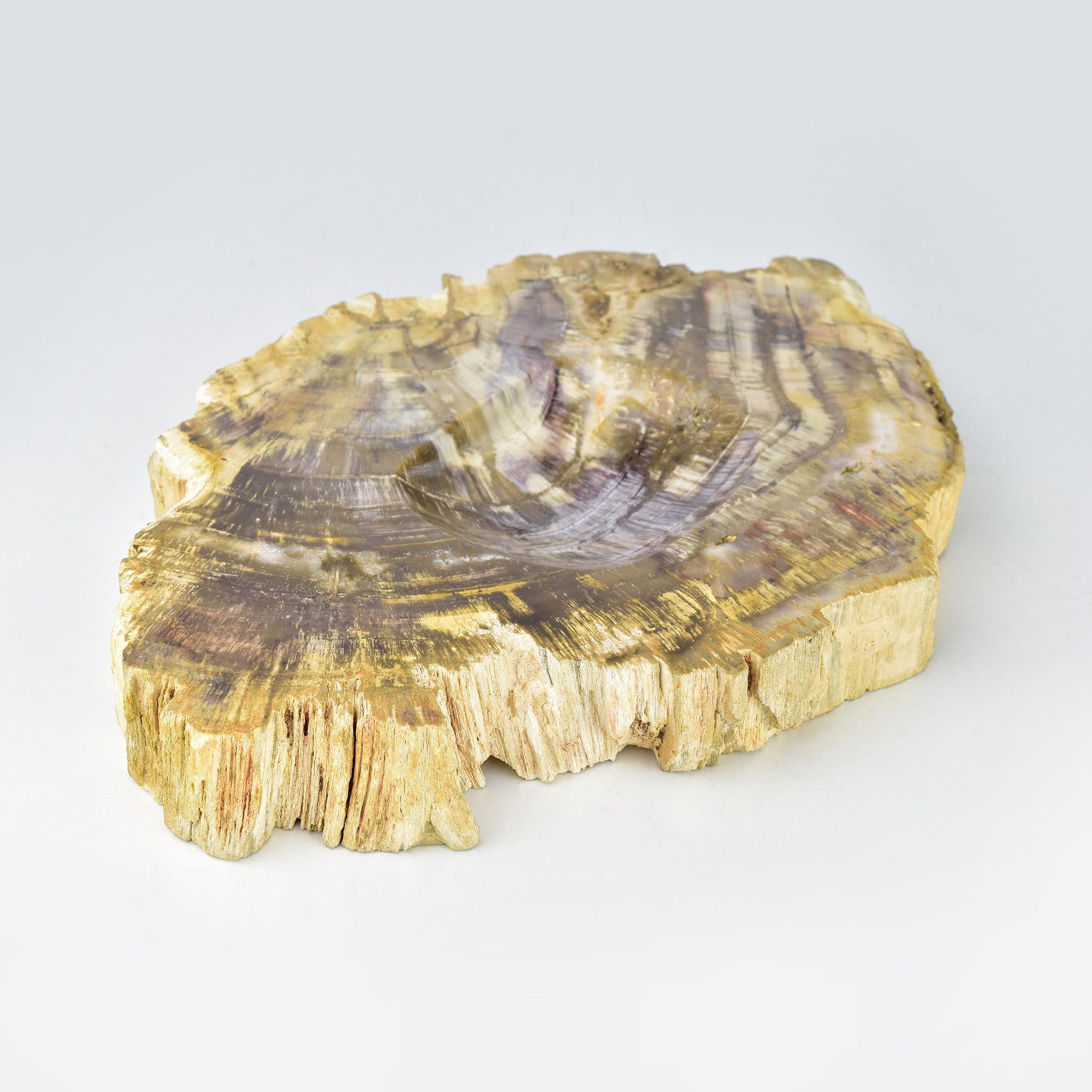 Mid-Century Modern Plat à bibelots en Wood Wood pétrifié  Vide-poche unique en bois fossilisé, beauté naturelle en vente
