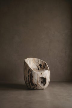 Petrified Wood Tub Chair, Organic Modern, 21st Century