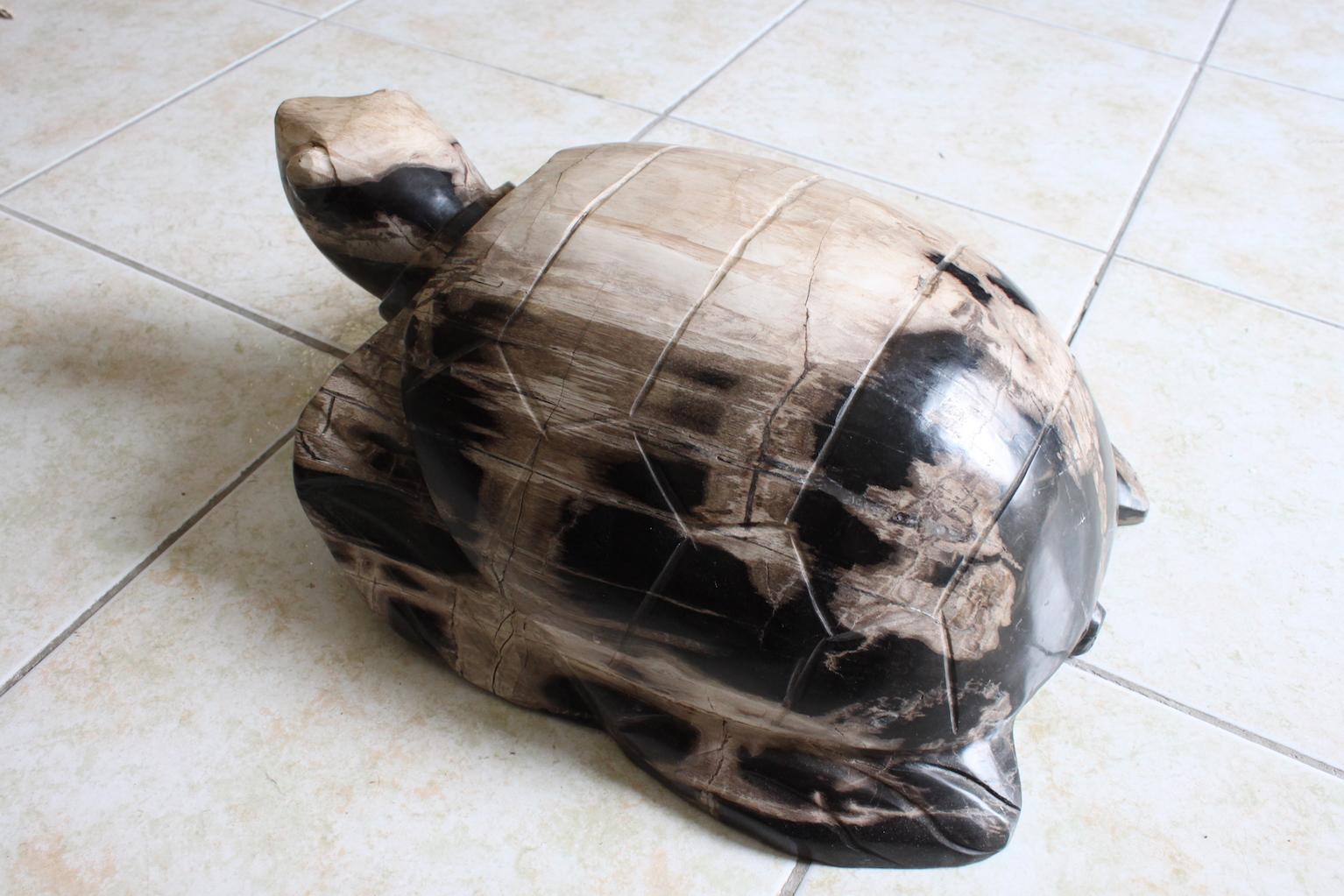 Petrified Wood Turtle Sculpture 3