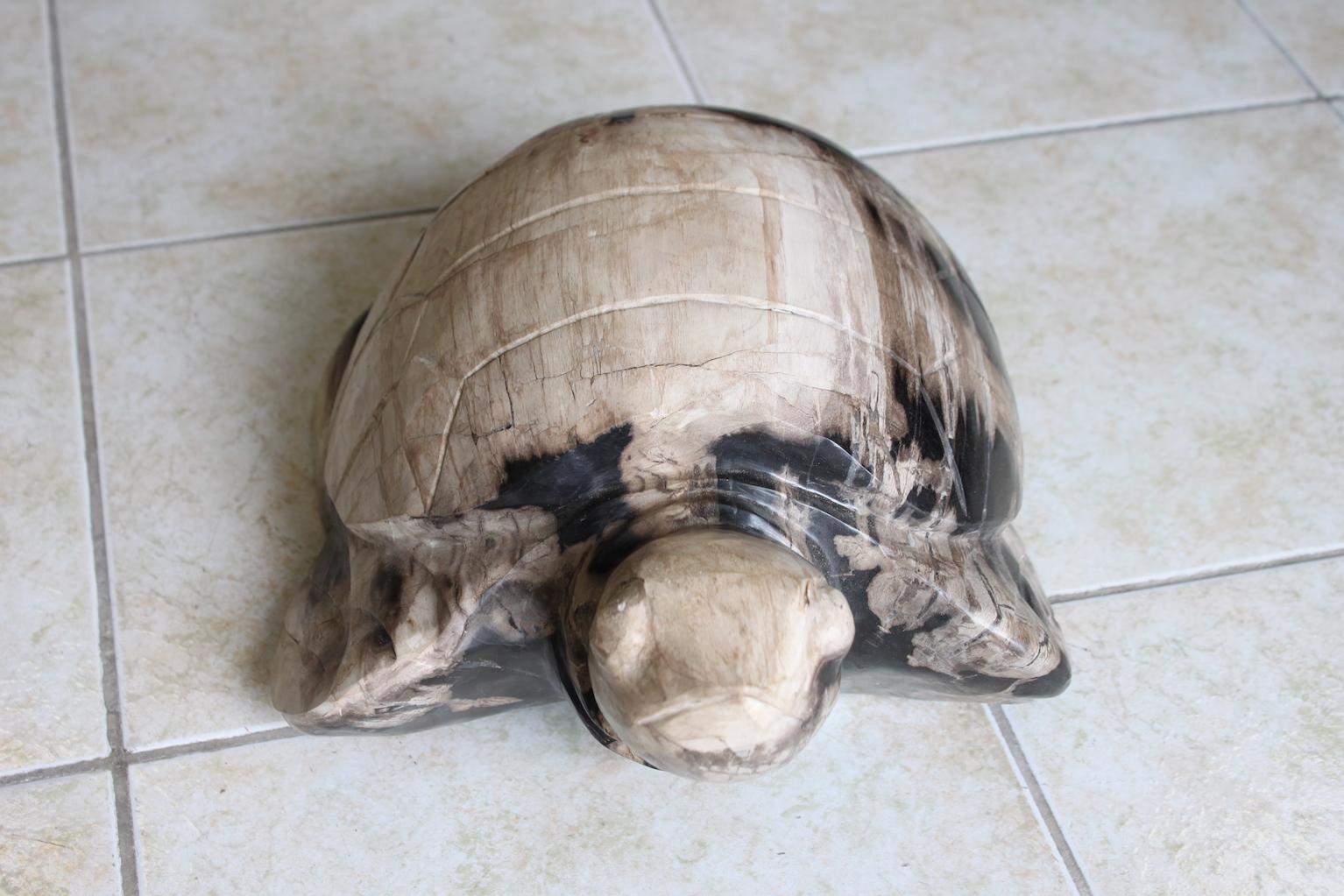 A turtle sculpture in petrified wood of 25 Million years. Beige and black color. 
Heavy object, very decorative.
Dimensions : Height 17cm, width 40cm, depth 28cm.