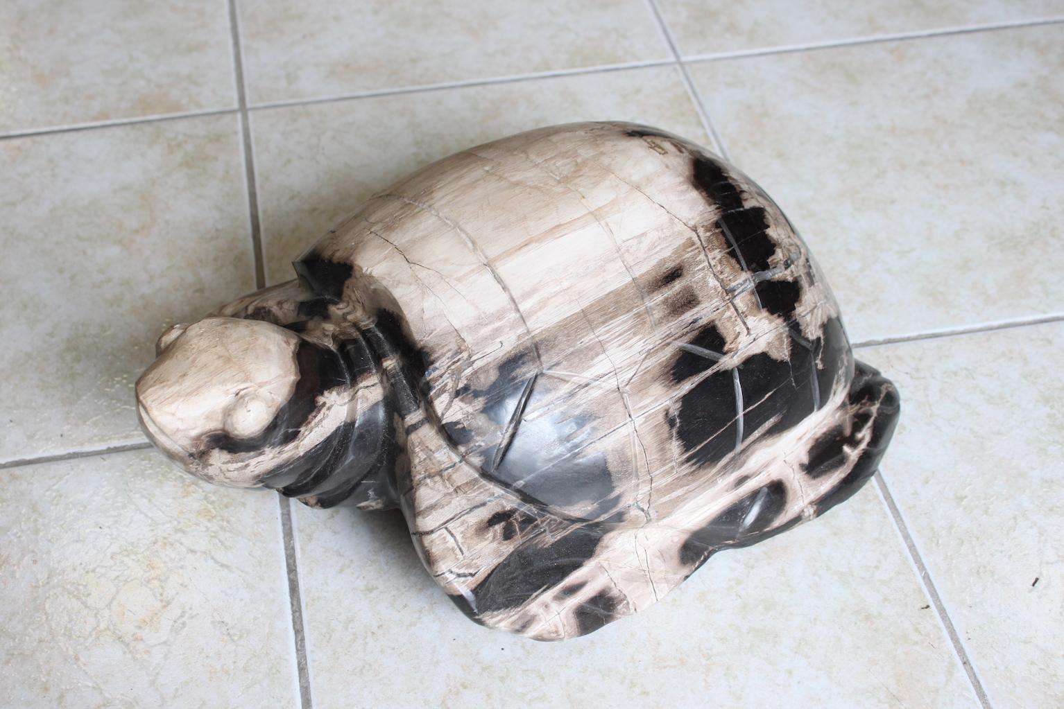 Organic Modern Petrified Wood Turtle Sculpture