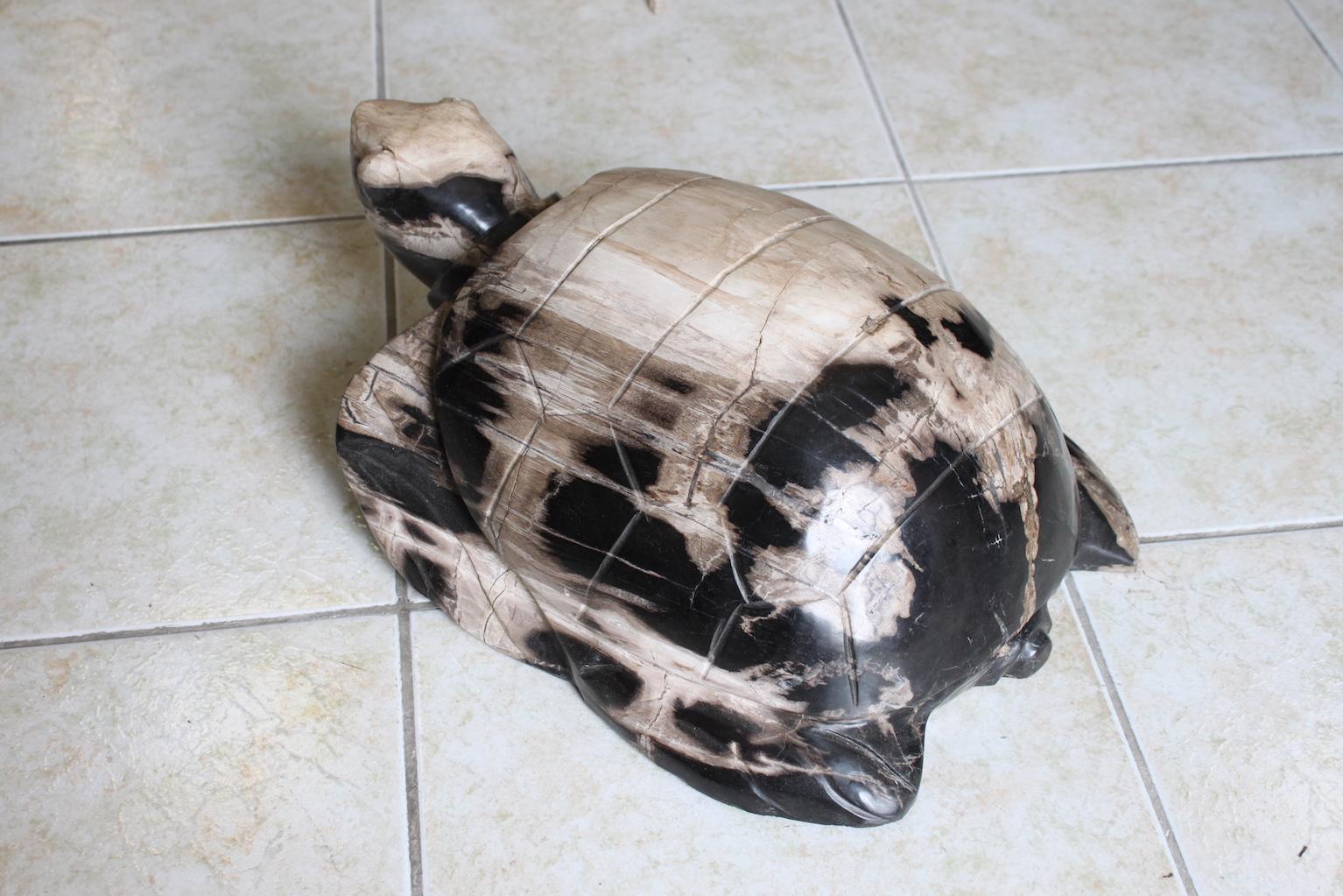French Petrified Wood Turtle Sculpture