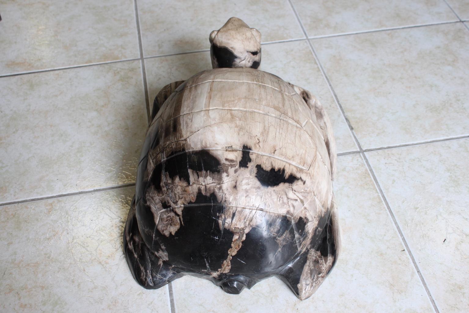 Polished Petrified Wood Turtle Sculpture