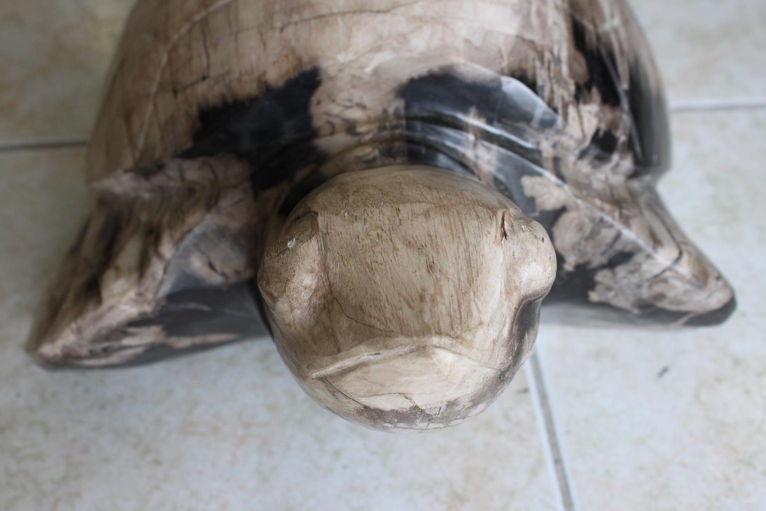 18th Century and Earlier Petrified Wood Turtle Sculpture