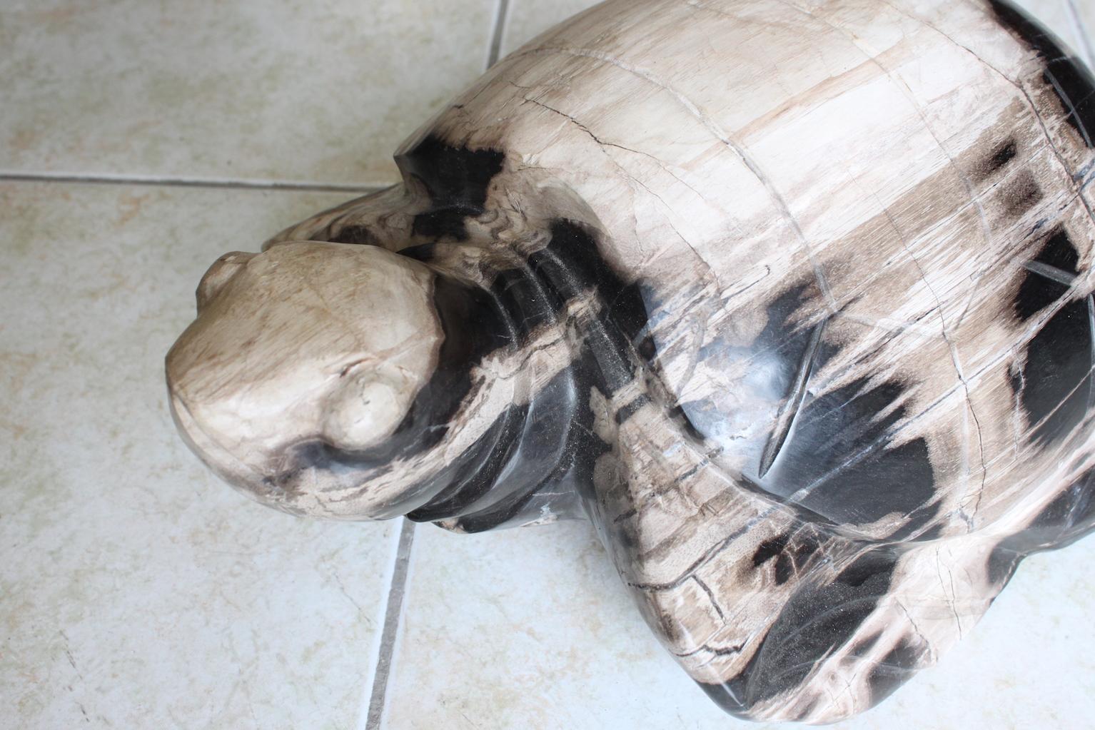 Petrified Wood Turtle Sculpture 1