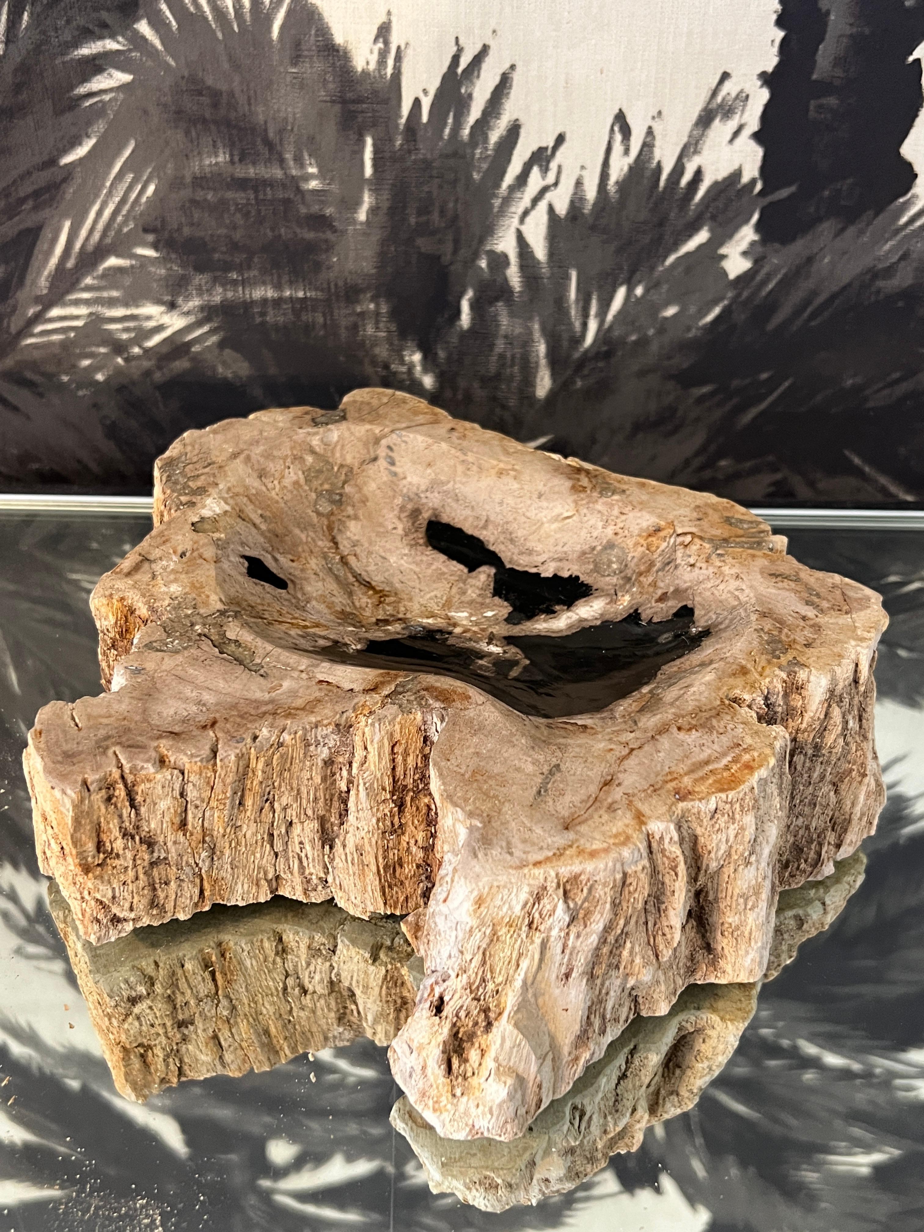 Organic Modern petrified wood bowl naturally fossilized throughout thousands of years. These rare pieces have been hand cut and feature the highest quality petrified wood with polished centers and natural live edges. Features a black onyx center