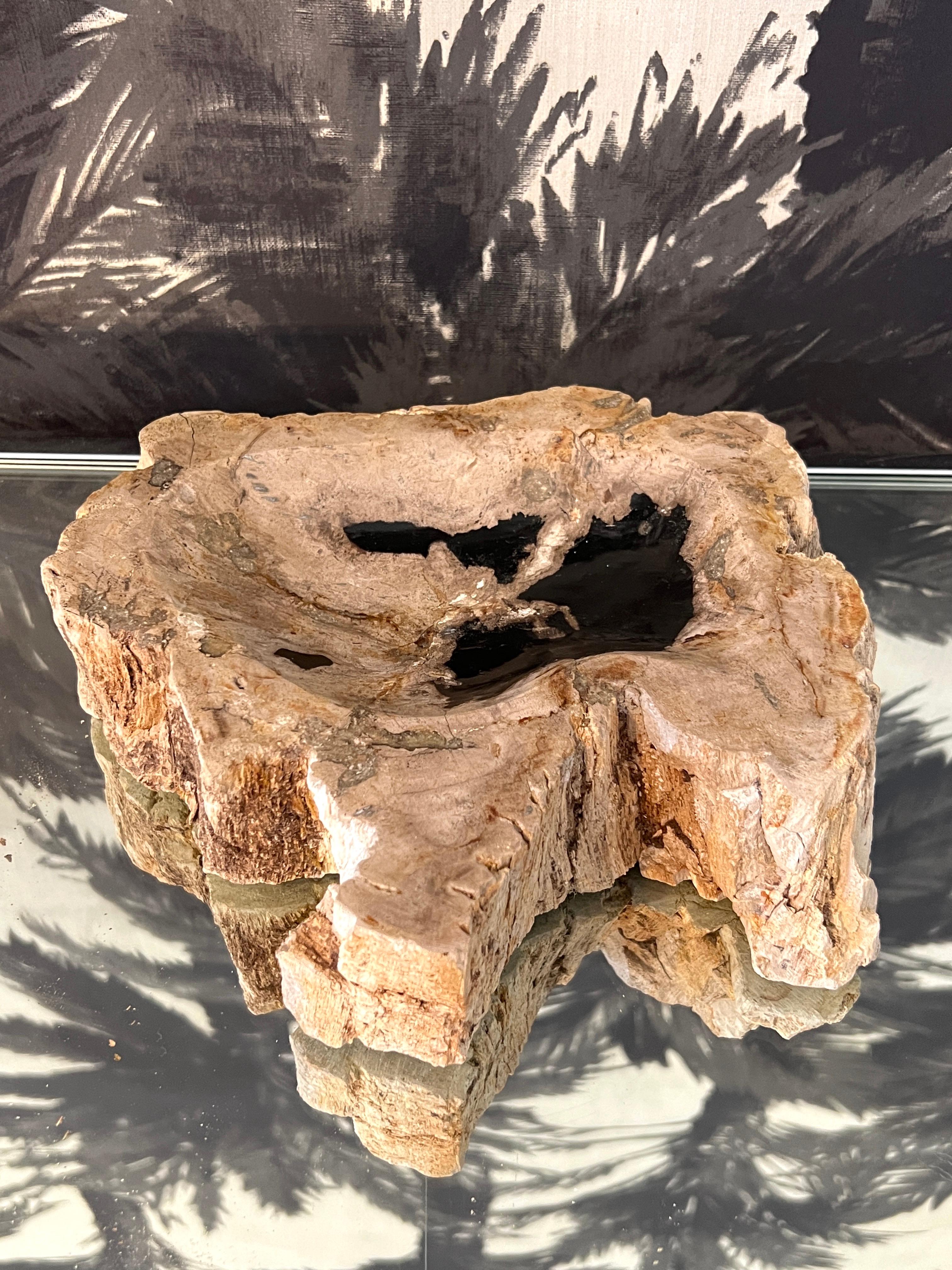 Indonesian Petrified Wood Vide-Poche Decorative Bowl with Live Edge in Beige and Black