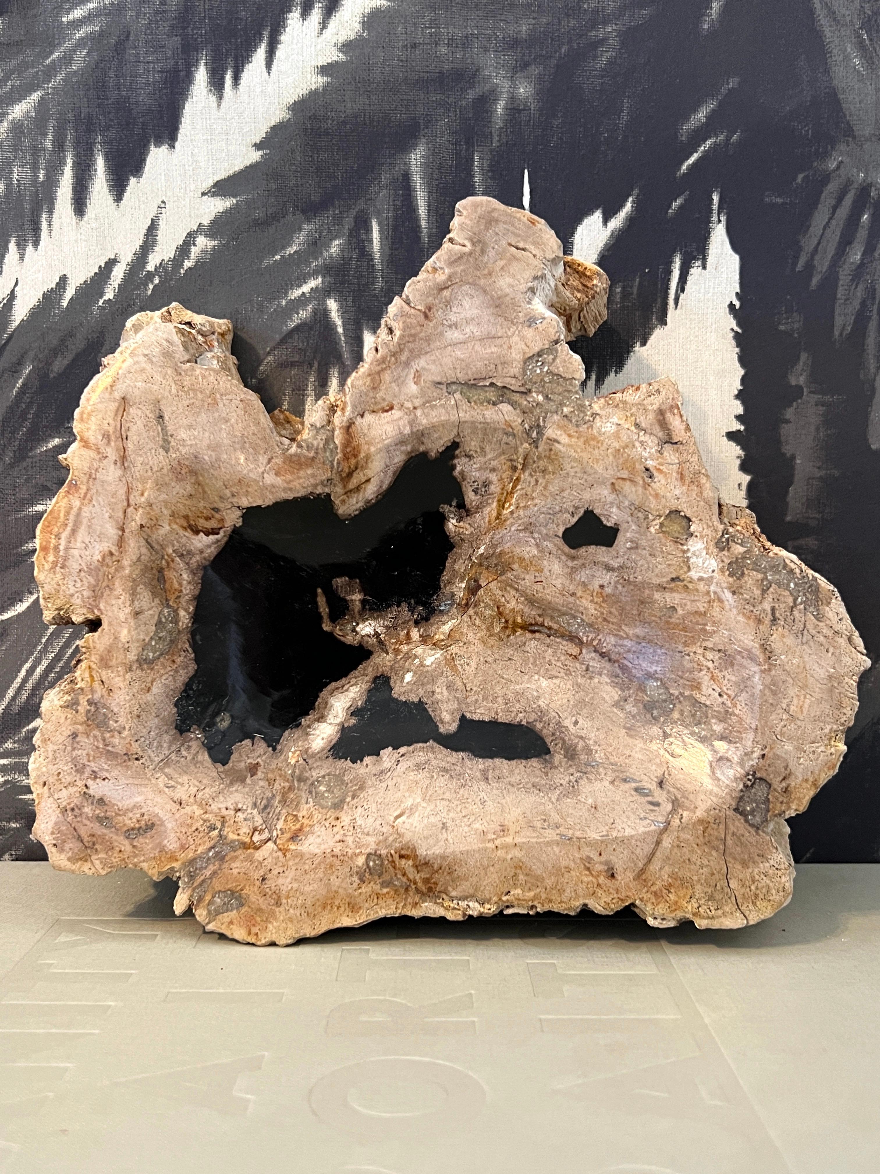 Polished Petrified Wood Vide-Poche Decorative Bowl with Live Edge in Beige and Black