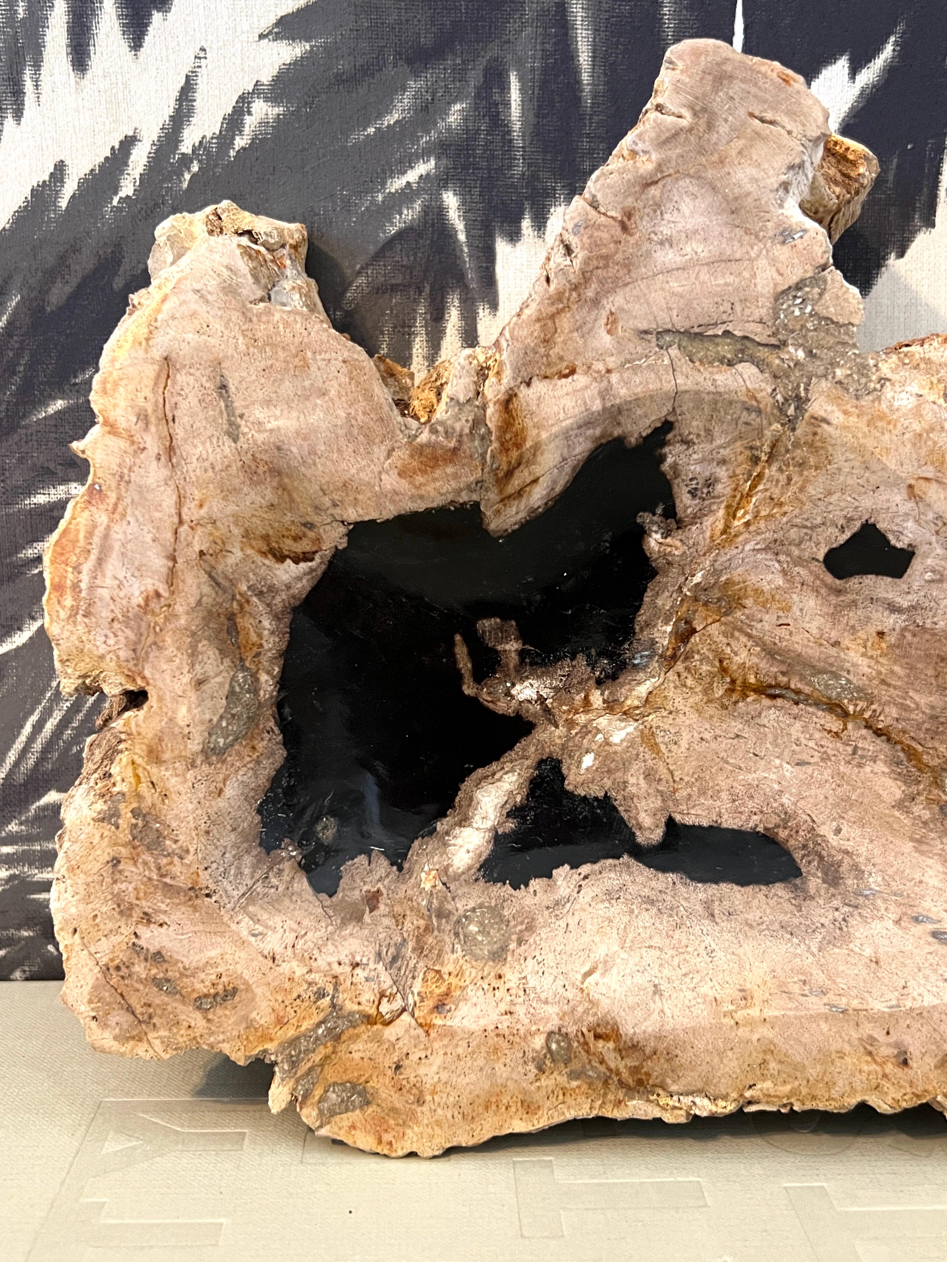 Petrified Wood Vide-Poche Decorative Bowl with Live Edge in Beige and Black In Good Condition In Fort Lauderdale, FL