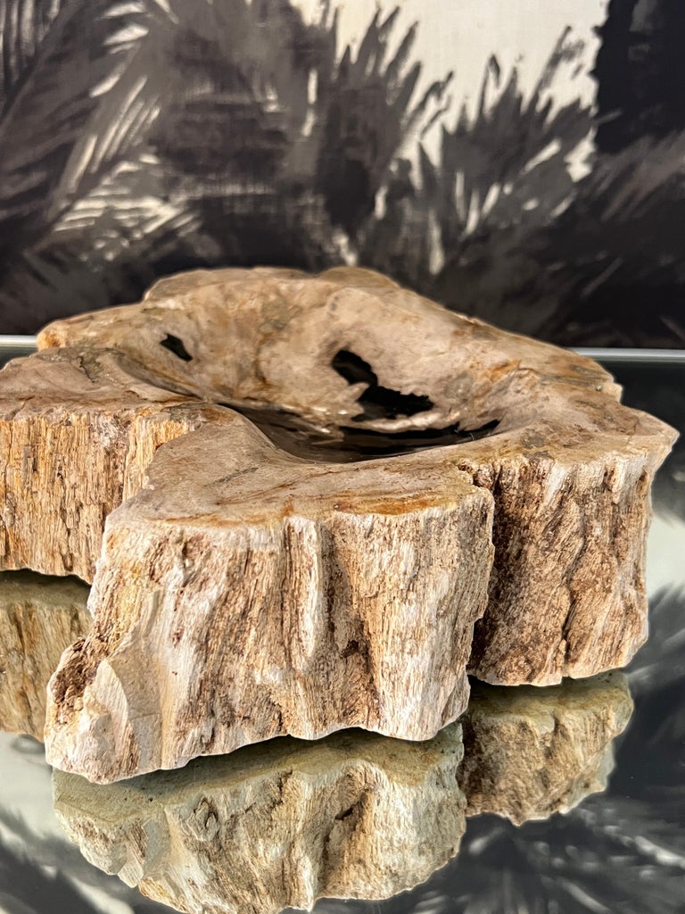 18th Century and Earlier Petrified Wood Vide-Poche Decorative Bowl with Live Edge in Beige and Black For Sale