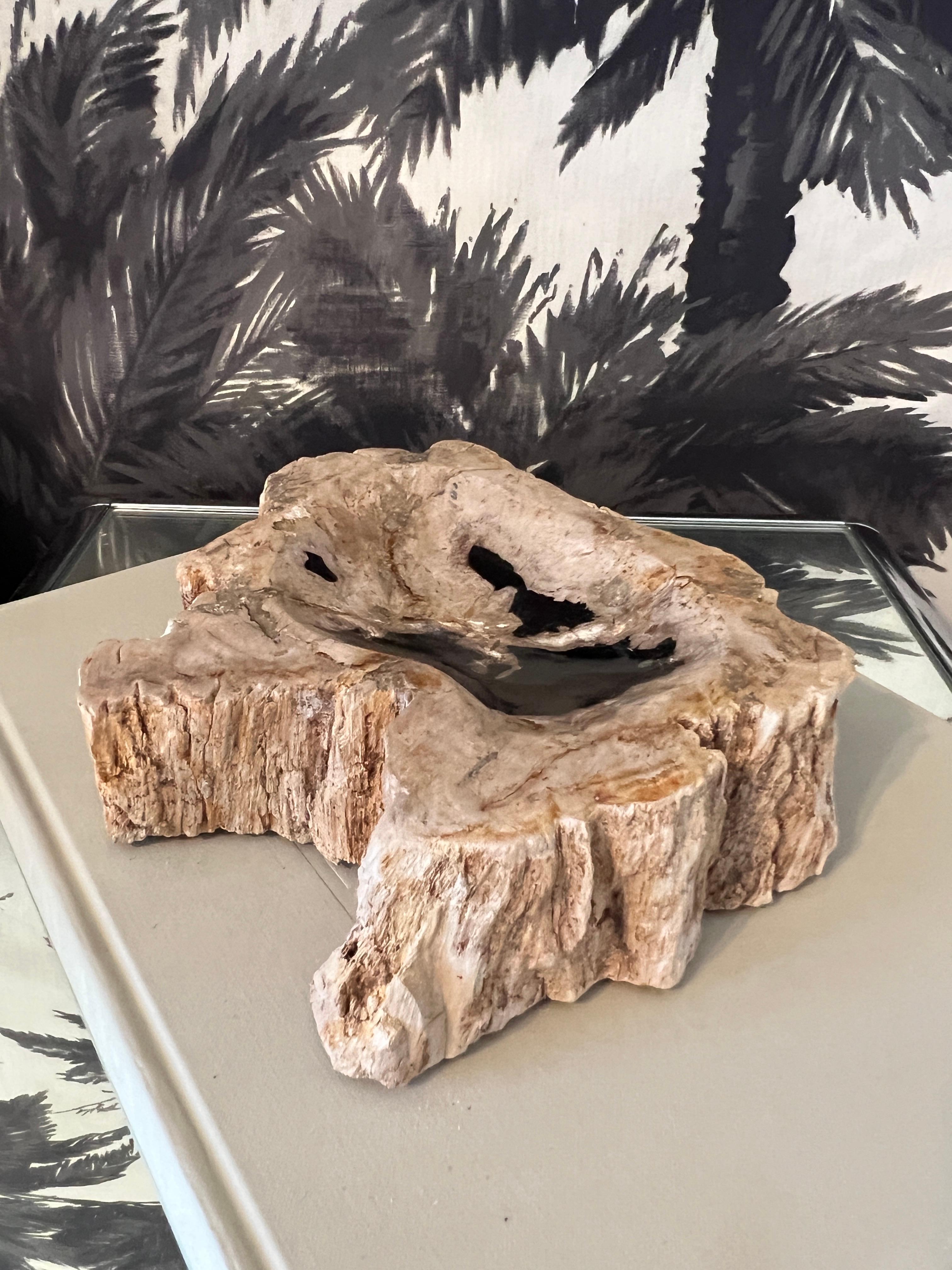 Petrified Wood Vide-Poche Decorative Bowl with Live Edge in Beige and Black 2