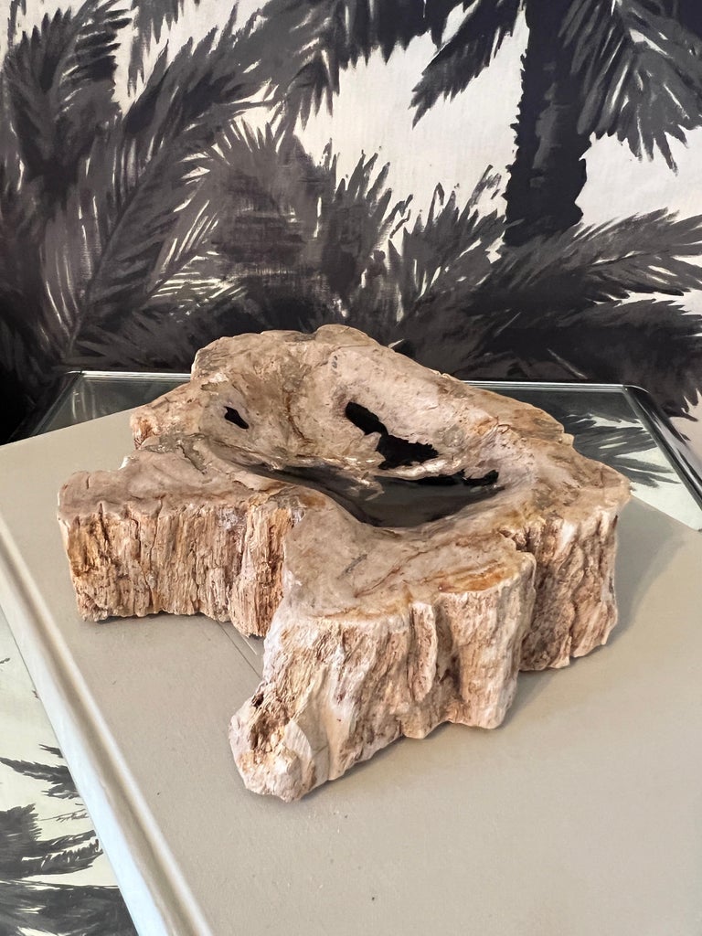 Petrified Wood Vide-Poche Decorative Bowl with Live Edge in Beige and Black For Sale 2