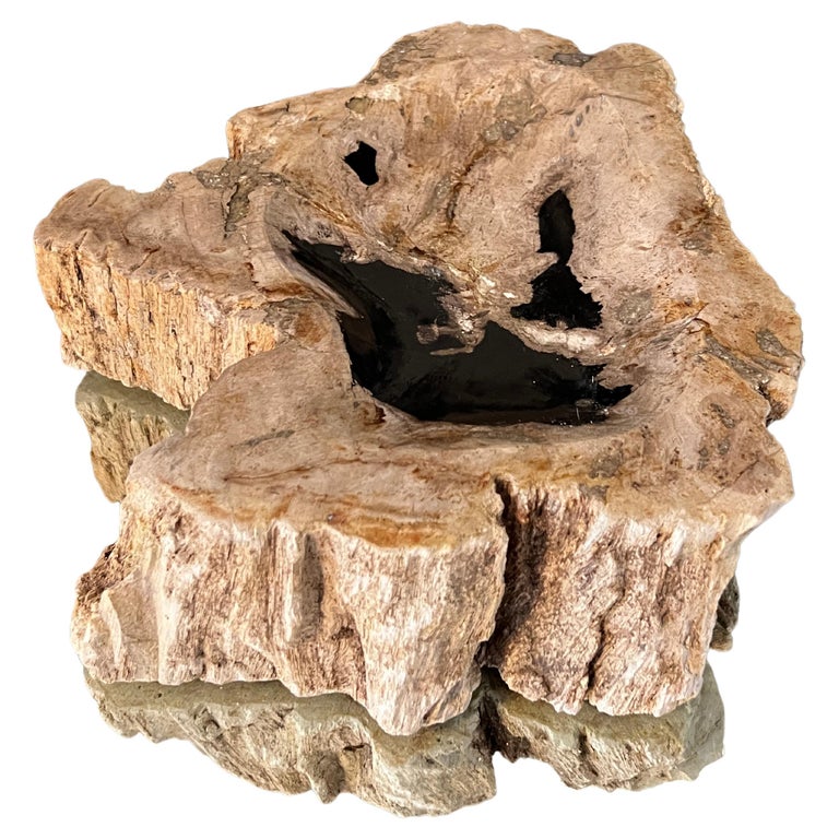 Petrified Wood Vide-Poche Decorative Bowl with Live Edge in Beige and Black For Sale