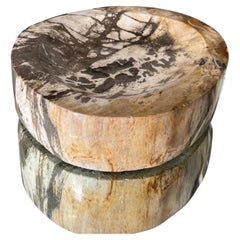 Petrified Wood Vide-Poche Decorative Bowl with Natural Striping in Beige & Grey