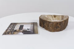 Petrified Wooden Bowl or Petit Basin, Object, Accessory of Organic Origin
