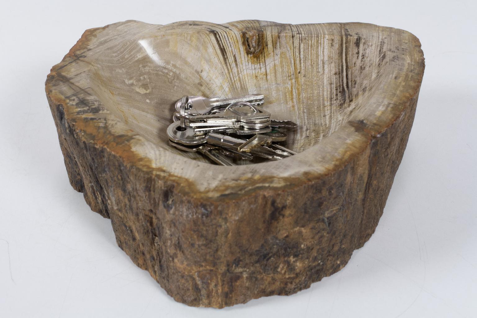 Indonesian Petrified Wooden Bowl or Petit Basin, Object, Accessory of Organic Origin For Sale