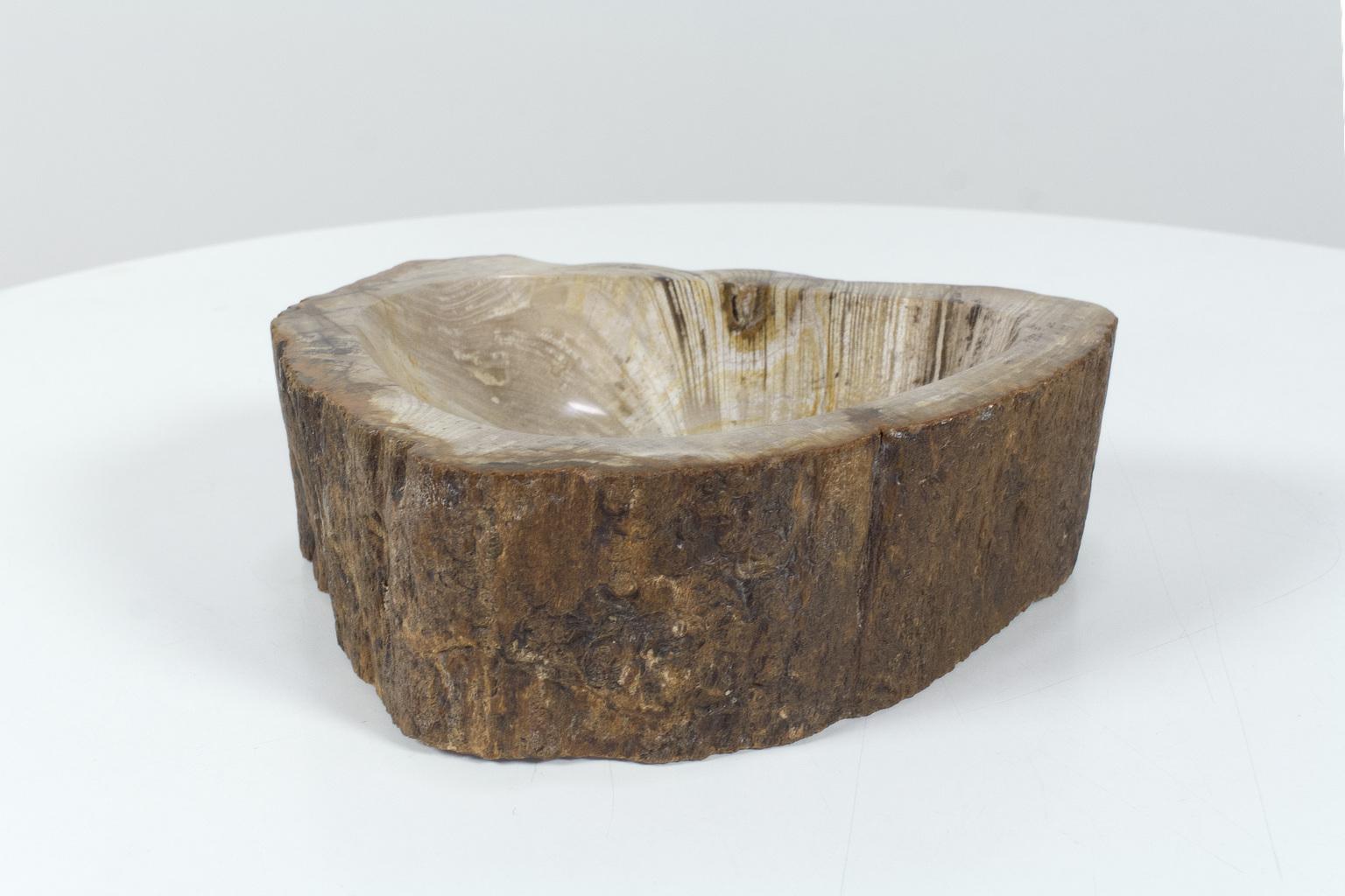 Petrified Wooden Bowl or Petit Basin, Object, Accessory of Organic Origin In Excellent Condition For Sale In Beek en Donk, NL