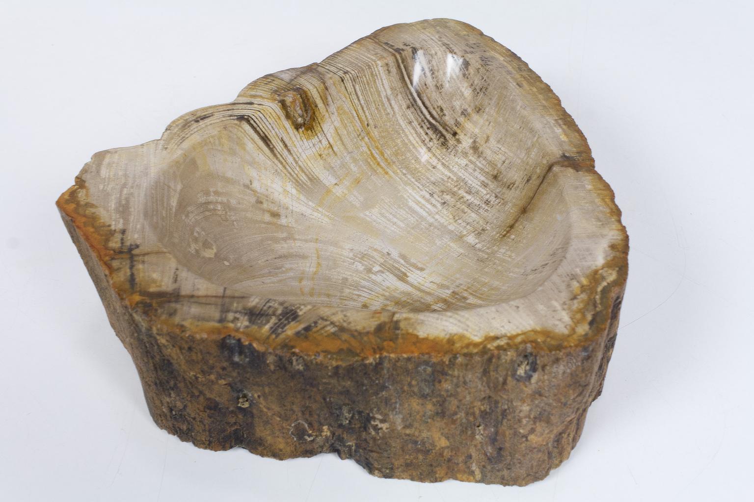 18th Century and Earlier Petrified Wooden Bowl or Petit Basin, Object, Accessory of Organic Origin For Sale