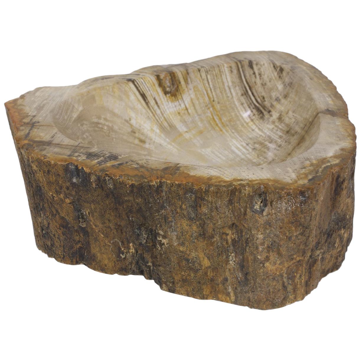 Petrified Wooden Bowl or Petit Basin, Object, Accessory of Organic Origin For Sale