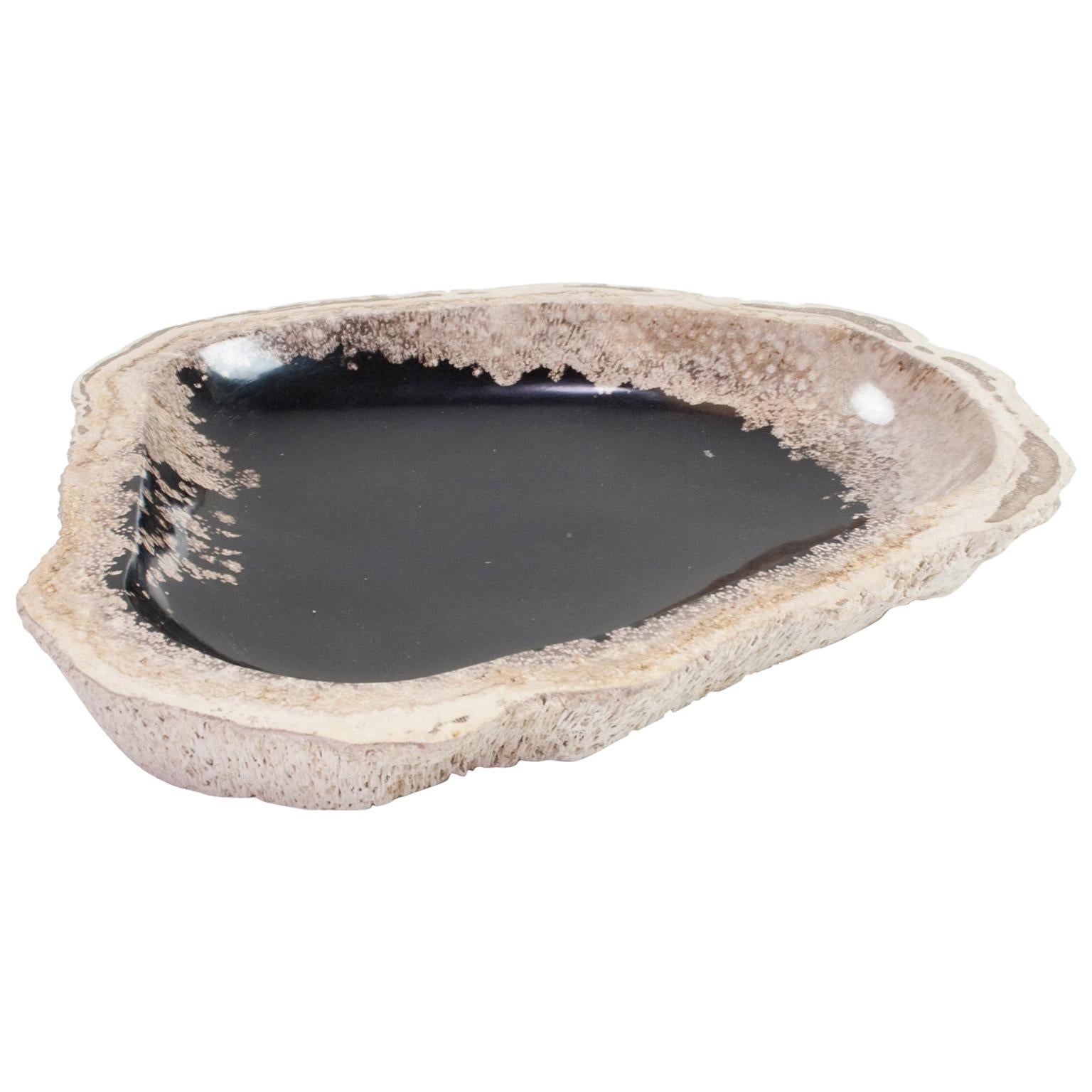 Petrified Wooden Bowl or Platter, Home Accessory of Organic Original