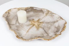 Petrified Wooden Large Plate in Beige Tones, Object or Accessory Organic Origin