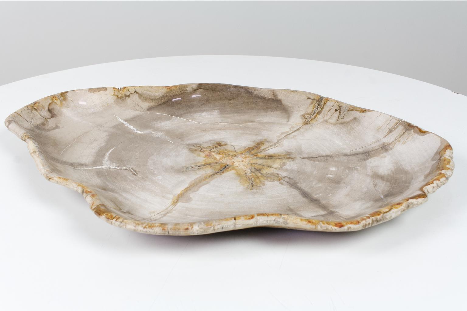 Indonesian Petrified Wooden Large Plate in Beige Tones, Object or Accessory Organic Origin