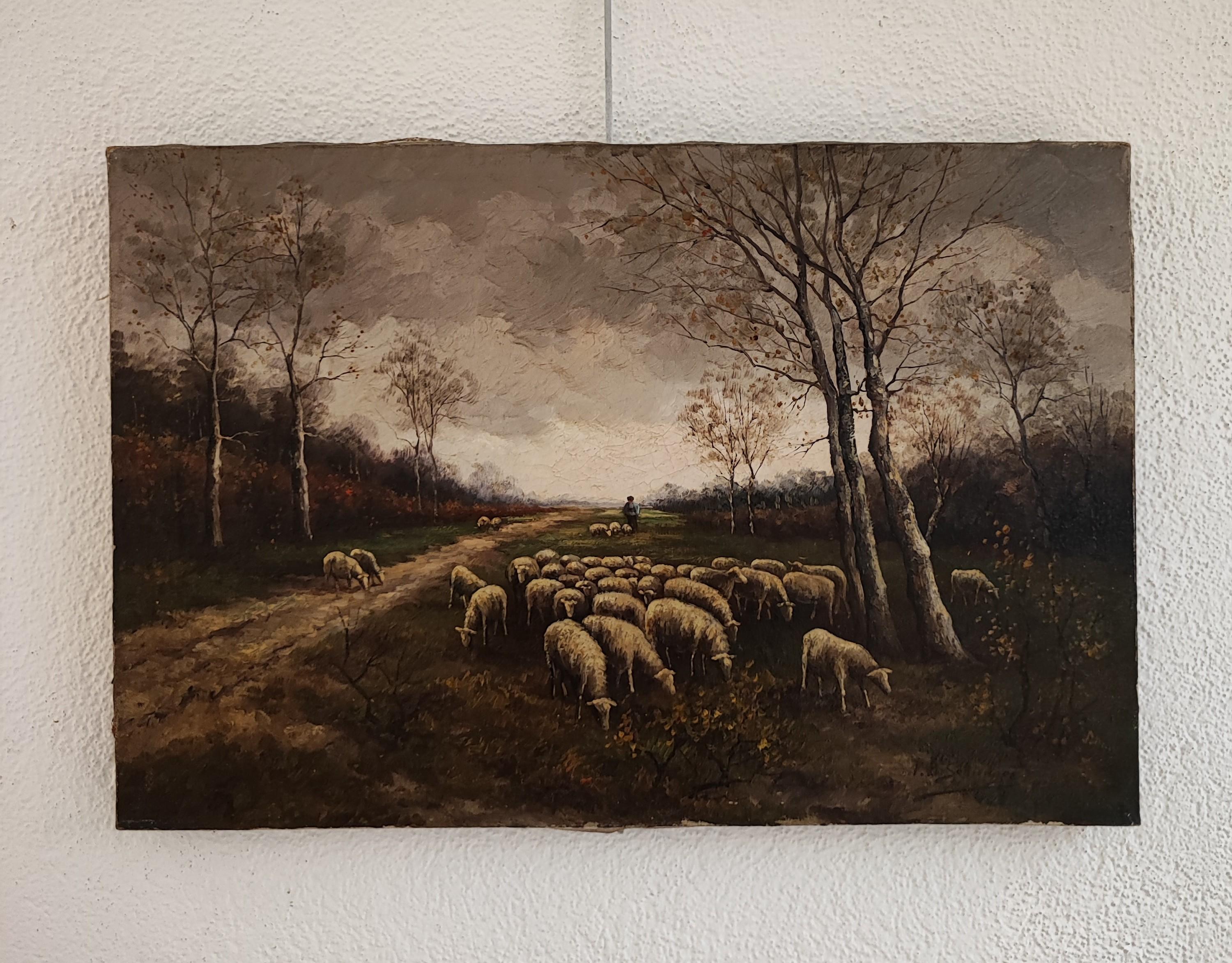 Animated landscape with sheep and shepherd - Painting by Petrus Paulus Schiedges
