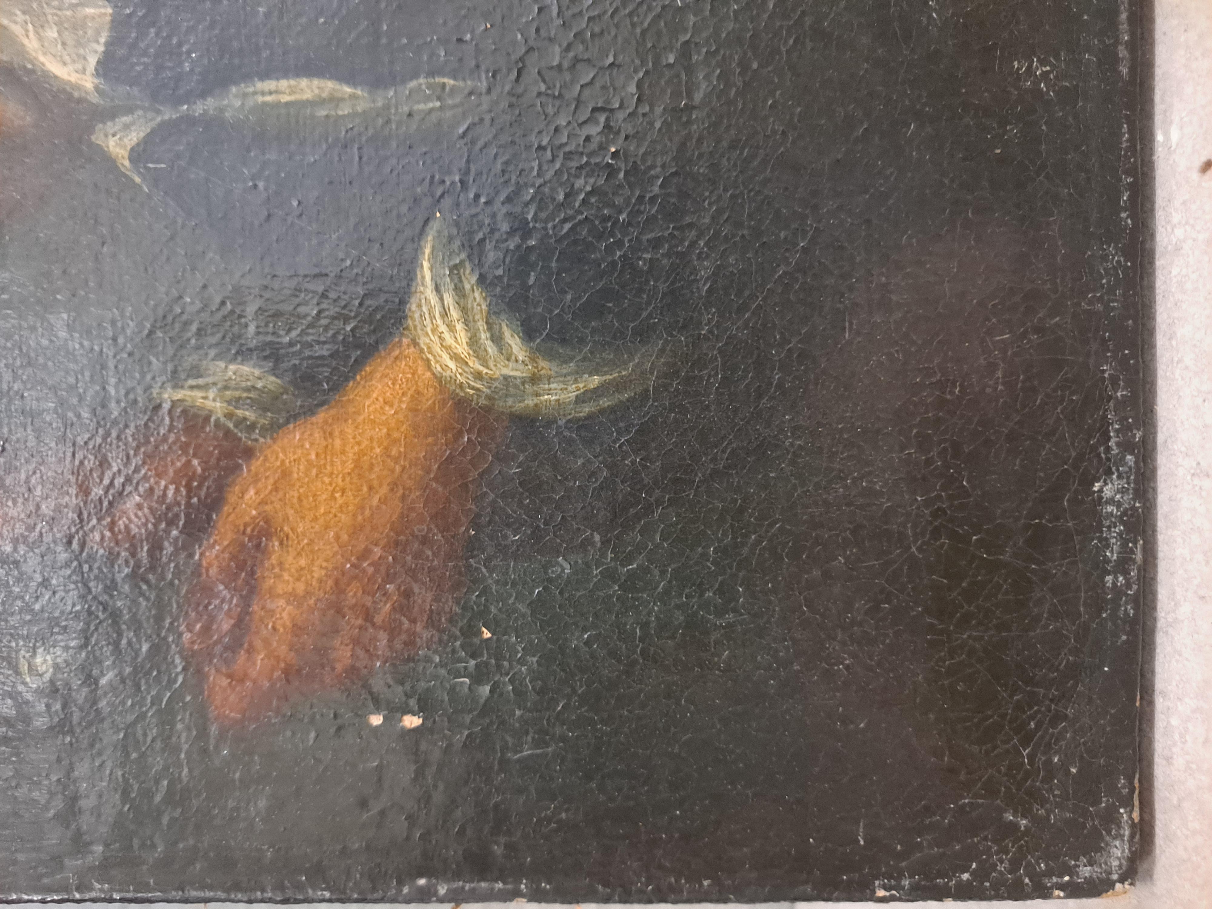 18th - 19th C. Portrait Painting After Petrus Staverenus For Sale 2