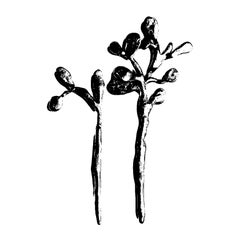 Pewter Deep Sea Hair Pins